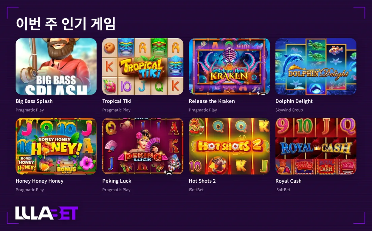 주간 인기 슬롯 조회하세요